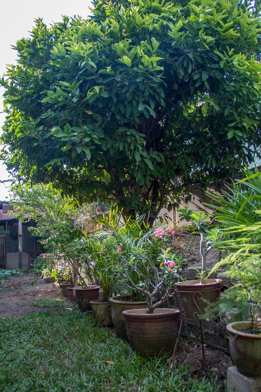 Cozy Mount Erskine Homestay Τζωρτζ Τάουν Εξωτερικό φωτογραφία